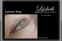 PMUEXPERT Lijsbeth 2016-01-02 SM Eyeliner Wing Tiefschwarz LaBina