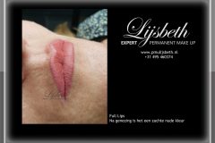 2019-03-27 BE full lips pbmauve